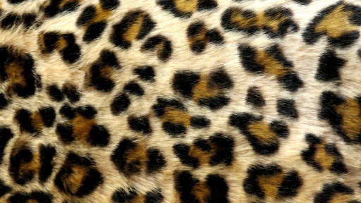 Leopard Print Live Wallpaper