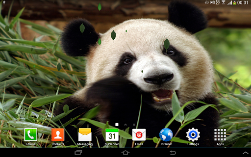 【免費個人化App】Sweet Pandas Live Wallpaper-APP點子