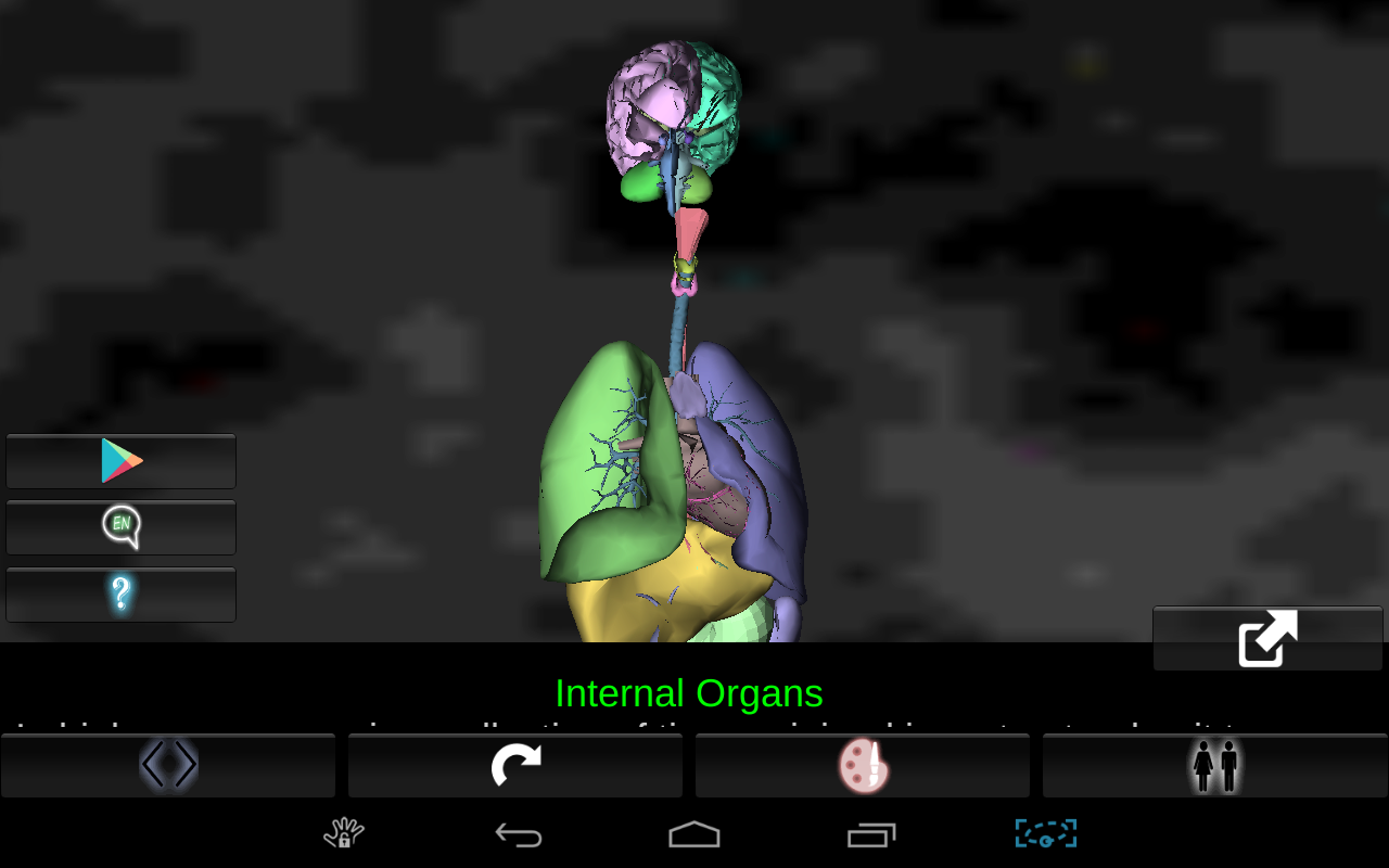 Organs 3D (Anatomy) - Android Apps on Google Play