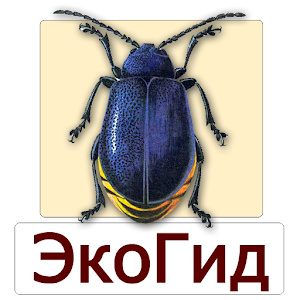 EcoGuide: Forest Insect Pests logo