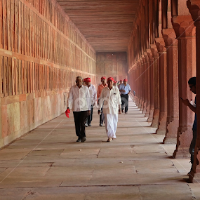 The domestic tourists by Rudy Pras - City,  Street & Park Historic Districts