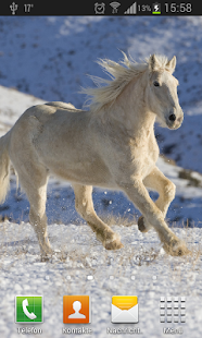 Free Download Horses Live Wallpaper APK for Android