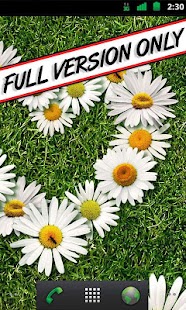 Free Download Endless Love Wallpaper - FREE APK