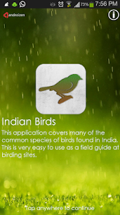 Indian Birds - Pro
