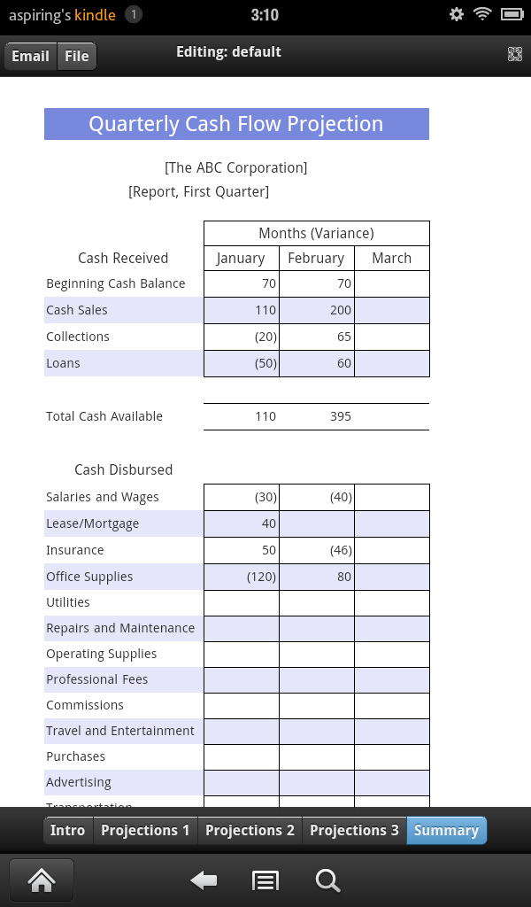 Cash Flow Projection Screen 3