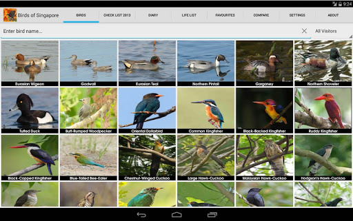 免費下載教育APP|Birds of Singapore app開箱文|APP開箱王