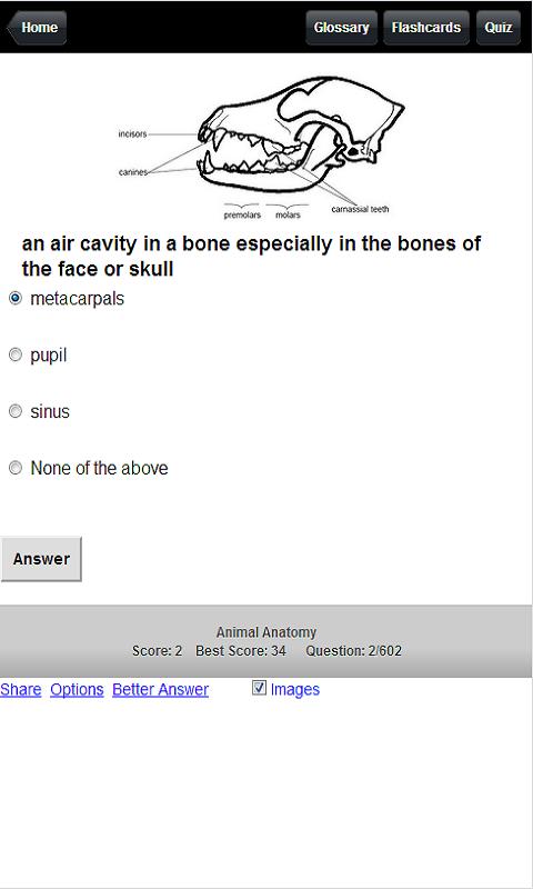 Animal Anatomy and Physiology Screen 3