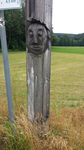 Gesicht Des Glücklichen Stammes