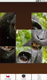 Monkey Puzzle Screenshots 6