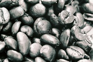 Black Coffee by Lee Griffiths - Black & White Macro
