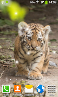 download Little Tiger Live Wallpaper free