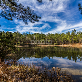Morning at the Lake by Ken  Frischkorn - Landscapes Waterscapes