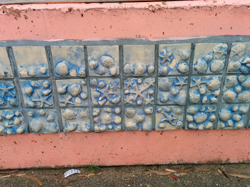 Seashell Tiles