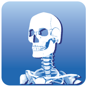 Prowise Skeleton 3D.apk 1.1