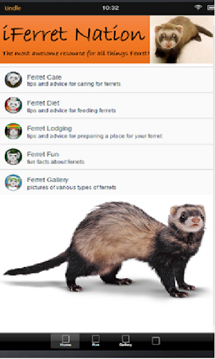 iFerret