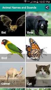 How to download Animal Sounds for Kids 1.4 unlimited apk for android