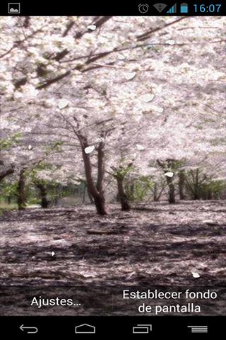 Fondo Animado Bosque Japonés