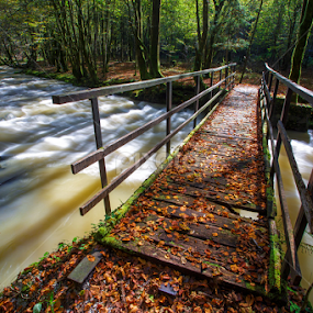 Creek Curak by Stanislav Horacek - Buildings & Architecture Bridges & Suspended Structures