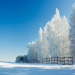 How to download Winter Wallpaper 1.0 unlimited apk for bluestacks