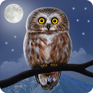 Owl Landscape 1.0.1