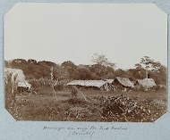 Woningen van voormalige Hindostaanse contractarbeiders in Combé