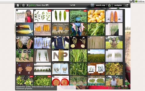 K gallery Screenshots 7