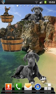 How to mod Animals Widgets 1.0 apk for bluestacks