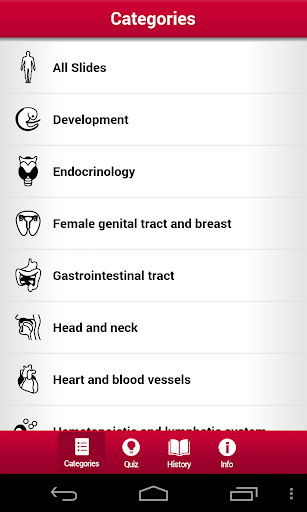 multeBook Histology