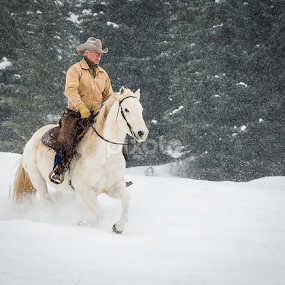 Coyboy in the Snow by John Klingel - People Portraits of Men