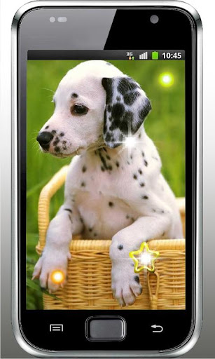 Hello Cute Puppy livewallpaper