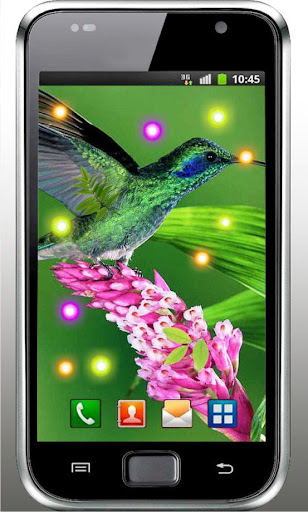 Colibri Sounds live wallpaper