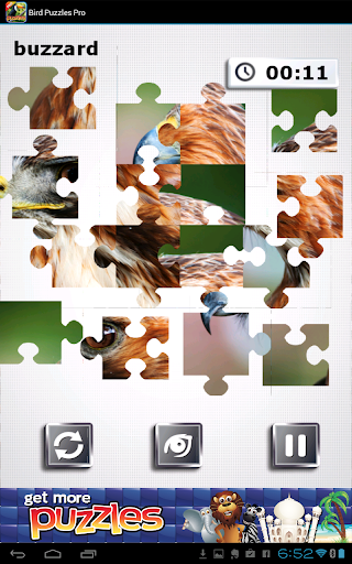 【免費解謎App】Bird Puzzles Pro-APP點子