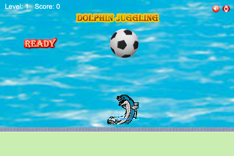Dolphin Juggling
