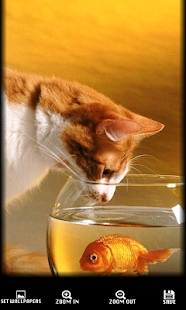 download 1.000.000 Wallpaper HD free