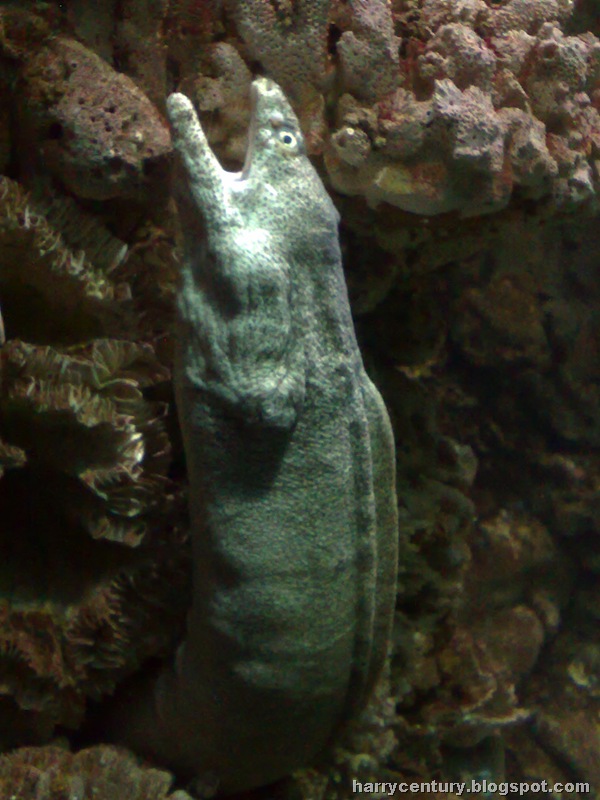 [010820081732[3].jpg]
