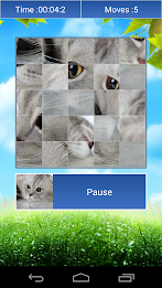 Cats Funny Puzzle poster 6