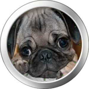 Pug Theme 1.0