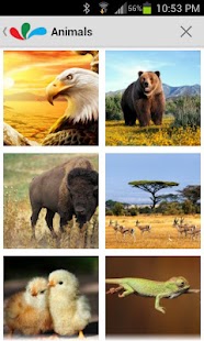 Lastest HD Background Wallpapers APK for Android