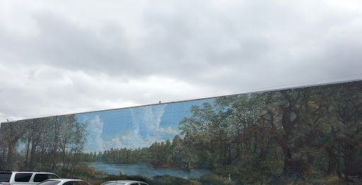 Forest and Lake Mural