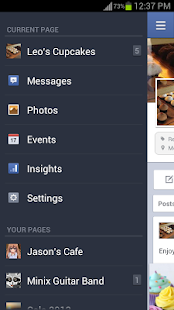 Facebook Pages Manager - screenshot thumbnail