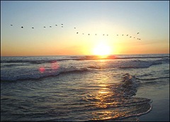 mar