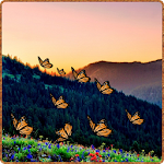 Mountain Butterfly Apk