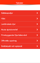 Din veterinär Flyinge poster 2