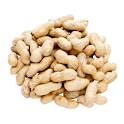 Food Allergies Guide logo