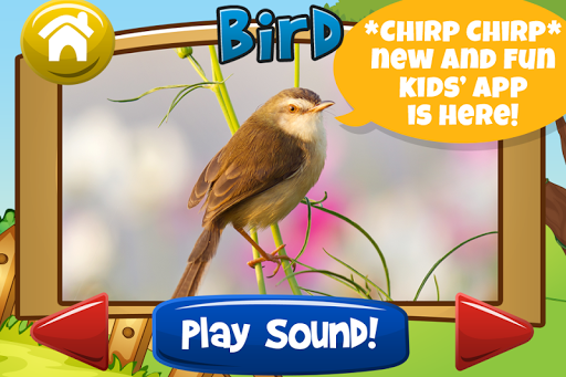 Animal Sounds for Kids