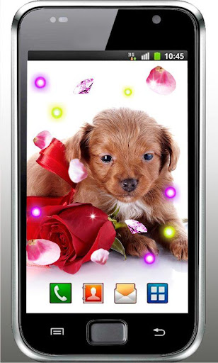 Puppy Rose HD Live Wallpaper