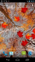 Autumn Maple Live Wallpaper ★ APK Download for Android