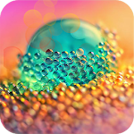 Photo Filter Effects Apk