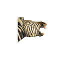 Feel The Zebra Basic logo
