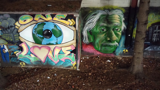 One Love Einstein Mural